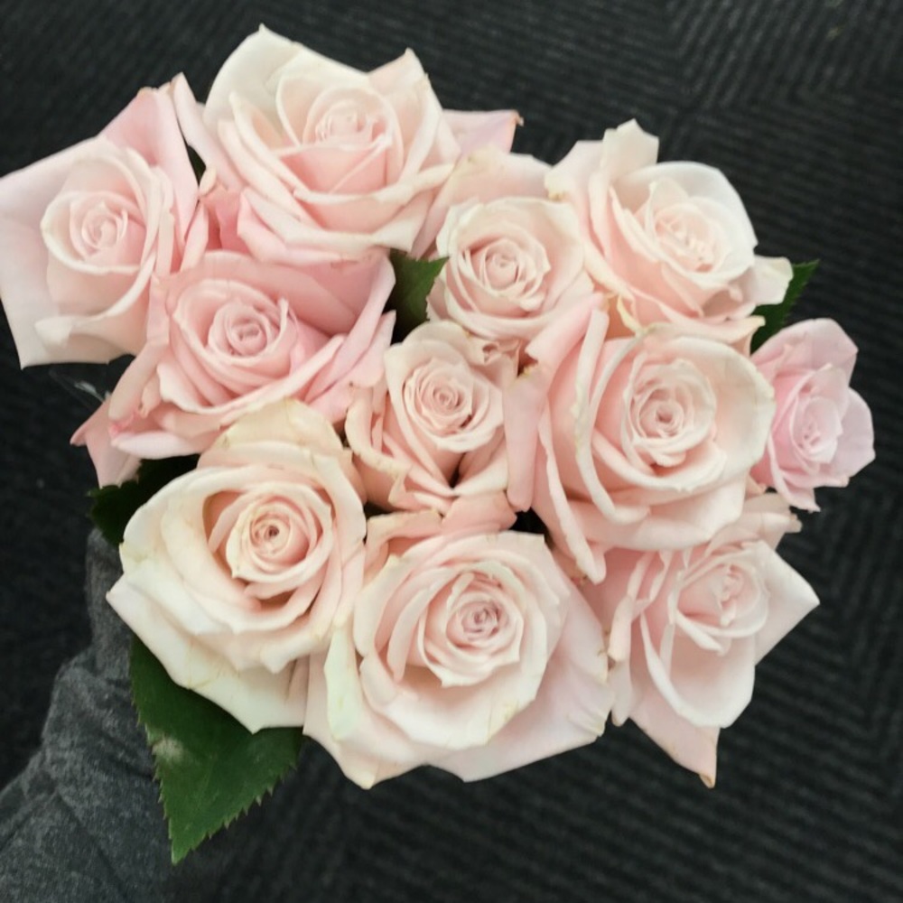 Meet your Posher, Yvette